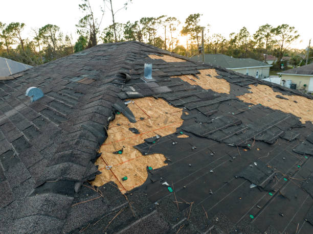 Best Roof Leak Repair  in Moroni, UT