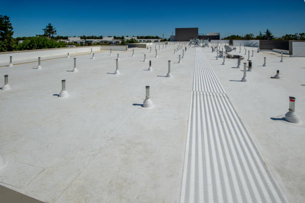 Best Asphalt Shingles Roofing  in Moroni, UT